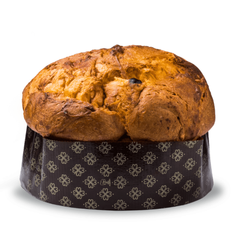 Il Panettone Albicocca e Cioccolato